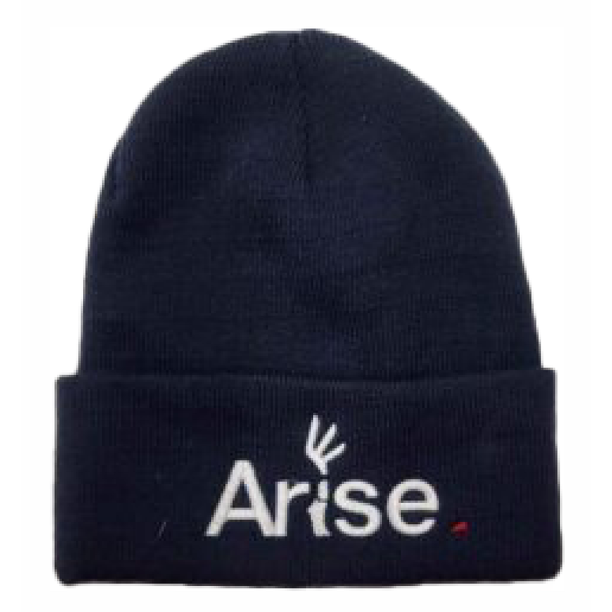 ARISE Beanie